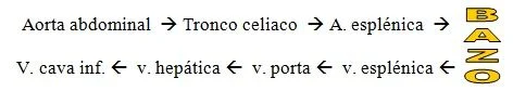 ESQUEMA IRRIGACION BAZO ESQUEMA IRRIGACION BAZO