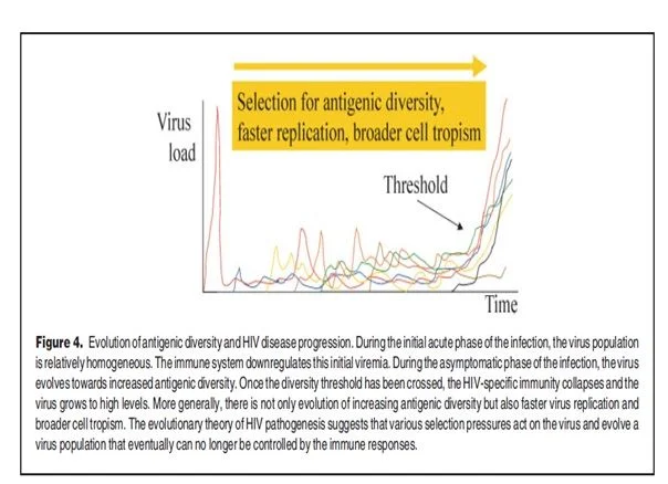 Diversidad antigenica