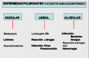 paciente inmunodeprimido