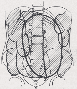 abdomen simple en decubito